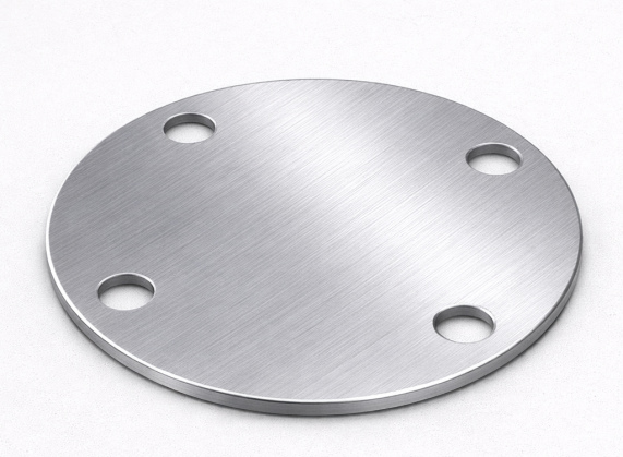 plastina-kruglaya-s-otverstiyami-250x14-mm